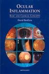 Ocular Inflammation: Clinical and Basic Concepts