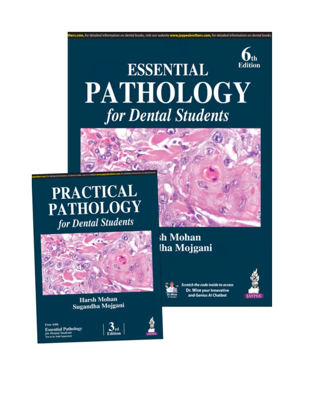 Essential Pathology for Dental Students 6th/2025