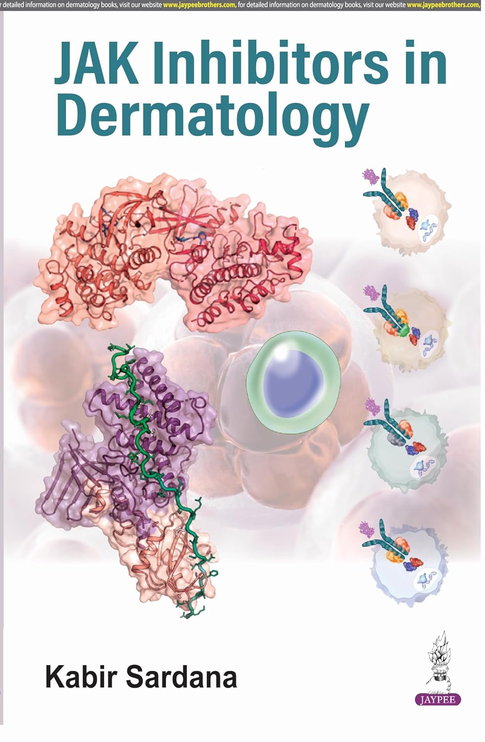 Jak Inhibitors in Dermatology