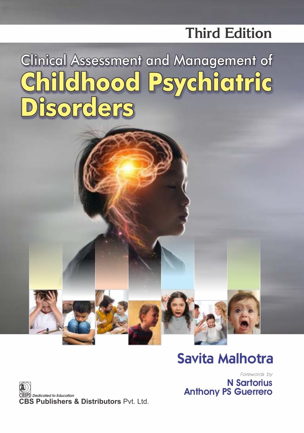 Clinical Assessment and Management of Childhood Psychiatric Disorders, 3e (PB)
