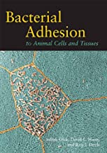 BACTERIAL ADHESION TO ANIMAL CELLS AND TISSUES