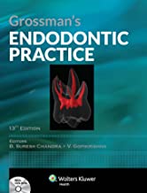 GROSSMAN’S ENDODONTIC PRACTICE, 13/E                              