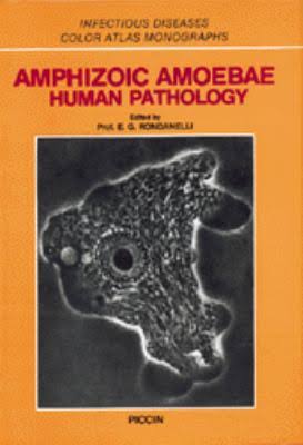 AMPHIZOIC AMOEBAE HUMAN PATHOLOGY